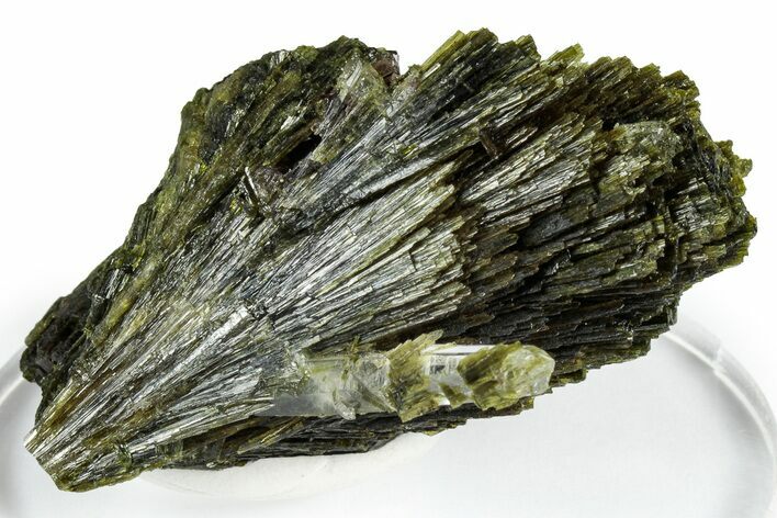 Lustrous Green Epidote Crystal Sprays with Axinite - Peru #347883